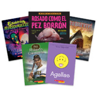 Grab and Go Pack Theme 1: Favorite Books Grade 5 Spanish