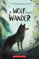 Voice of the Wilderness: A Wolf Called Wander