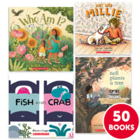 Favorite Books Grade K