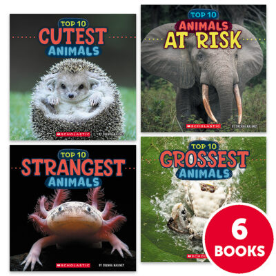 Wild World: Top 10 Animals Grades PreK-2