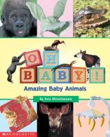 38 Adorable Books About Baby Animals
