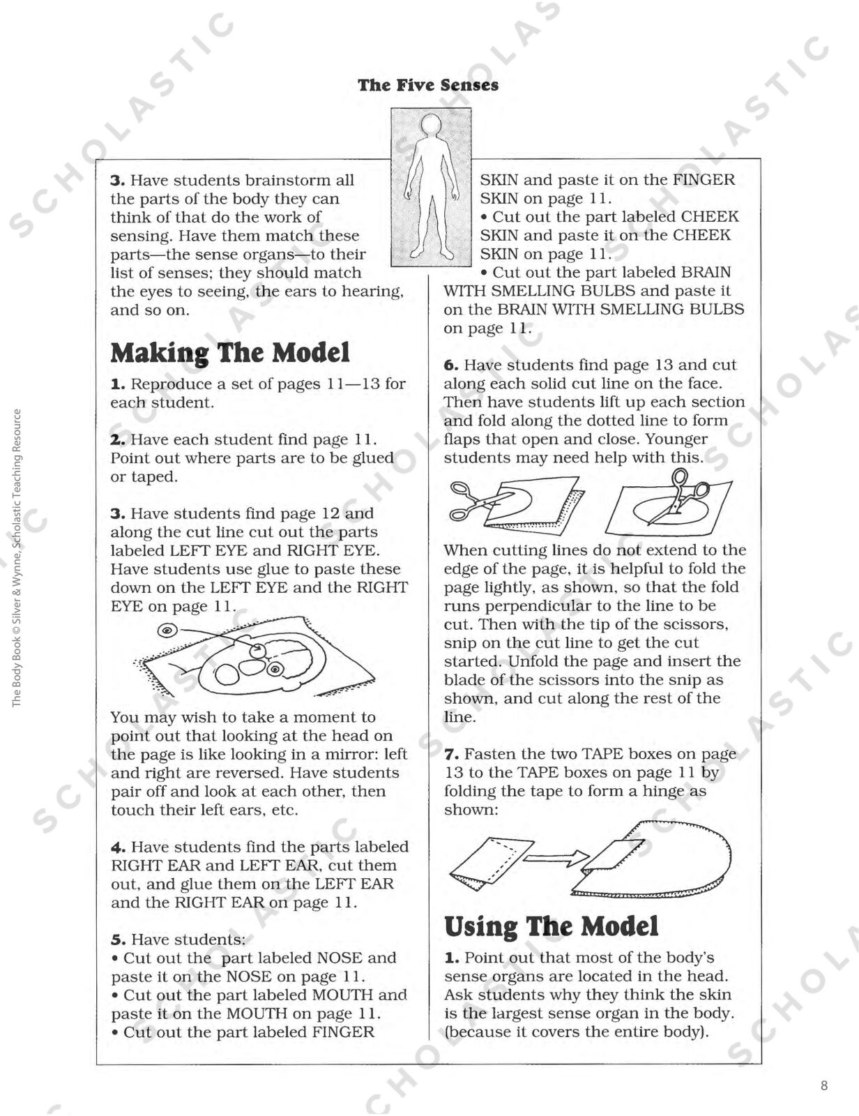  The Body Book: Easy-to-Make Hands-on Models That Teach:  9780545048736: Donald M. Silver, Patricia J. Wynne: Books