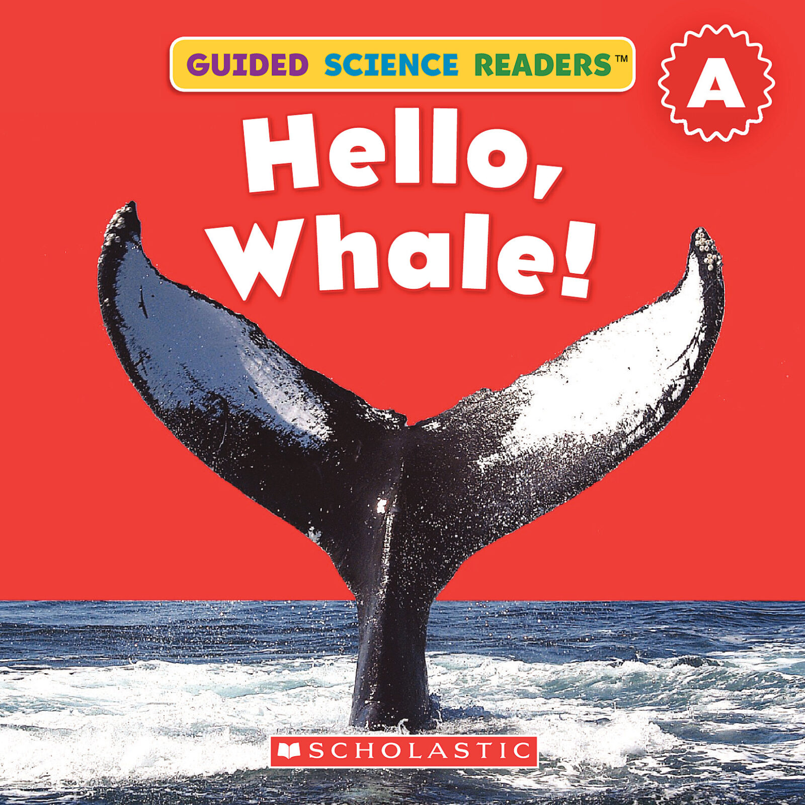 Scholastic News Nonfiction Readers: Animals: Scholastic News:  9780439784221: : Books