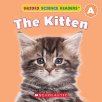 26 Purr-fect Cat Books You Should Read Right Meow