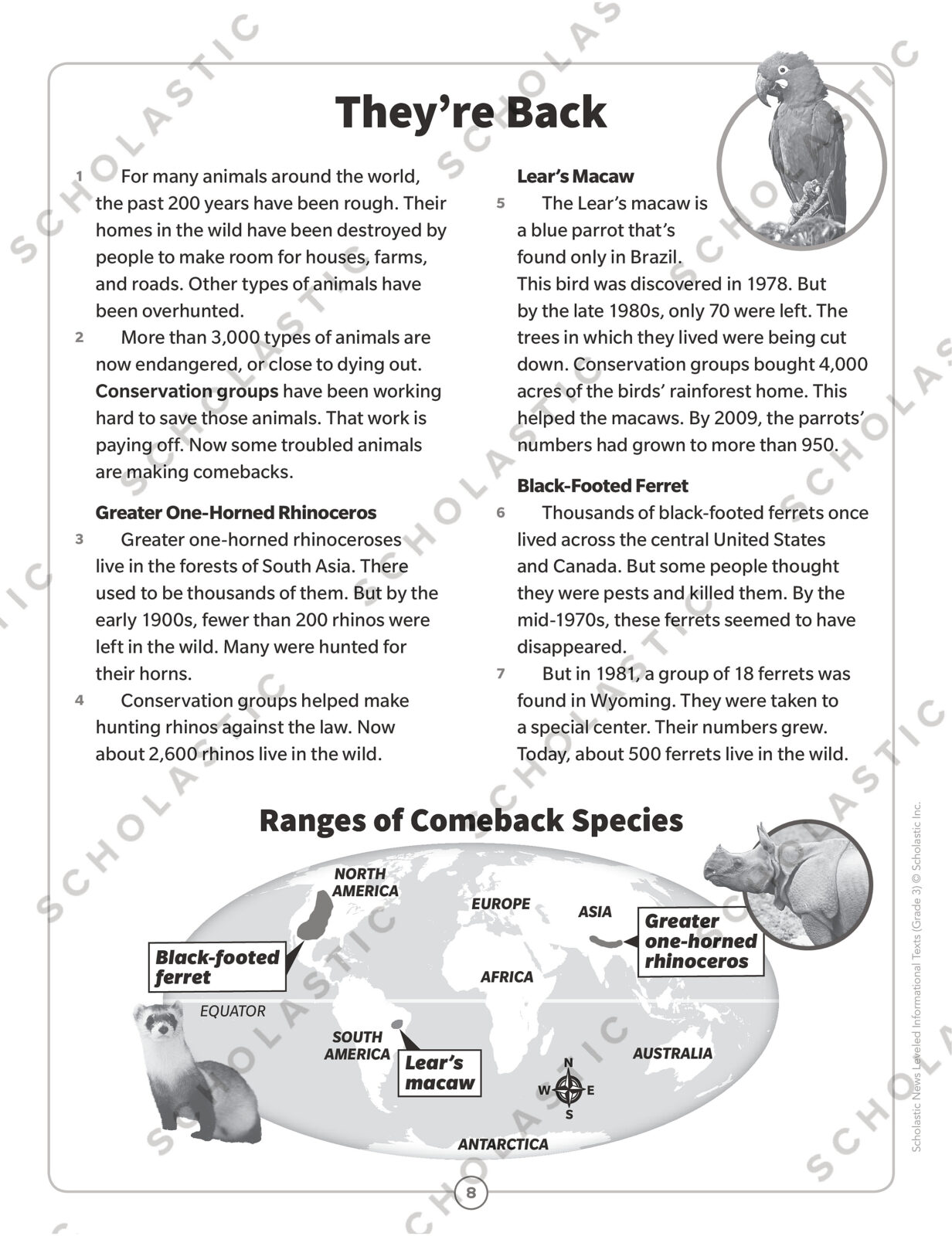 Scholastic News Leveled Informational Texts, Grade 5