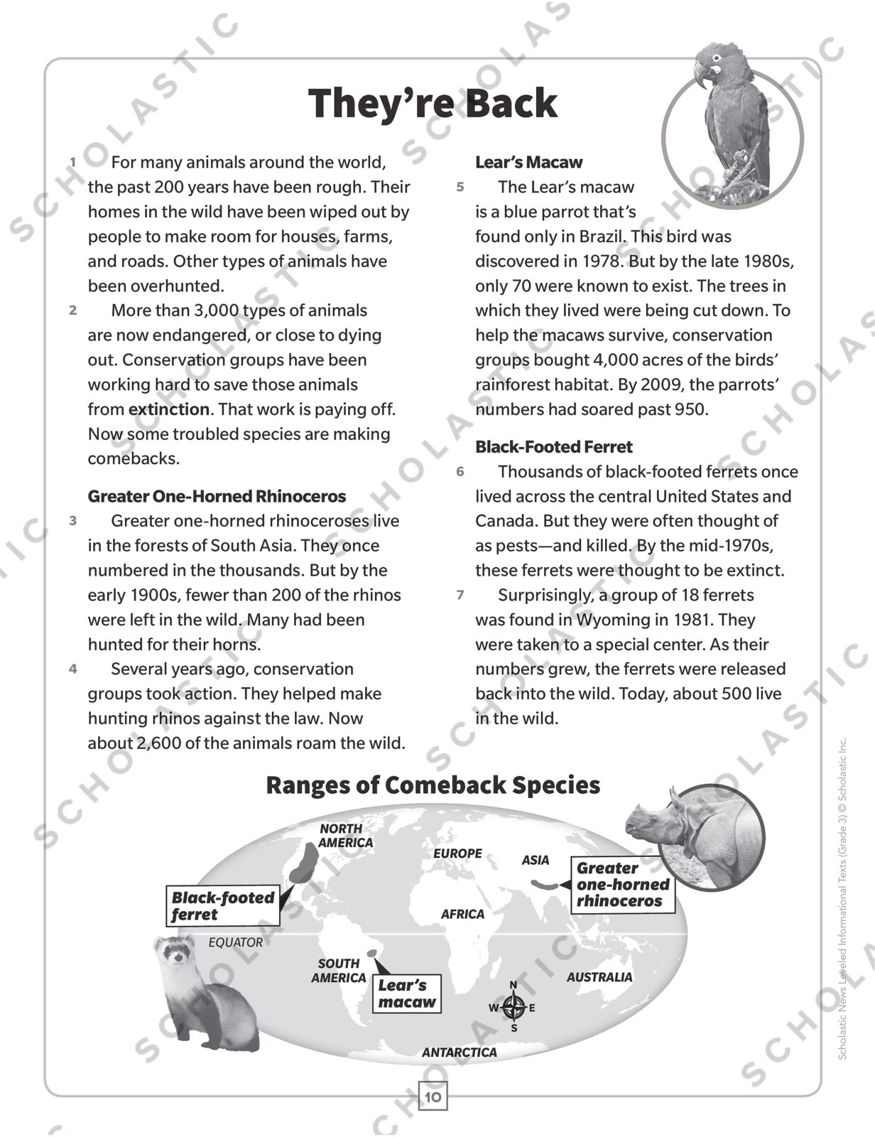 Scholastic News Leveled Informational Texts: Grade 4: High-Interest  Passages Written in Three Levels With Comprehension Questions by Scholastic  Teacher Resources, Paperback