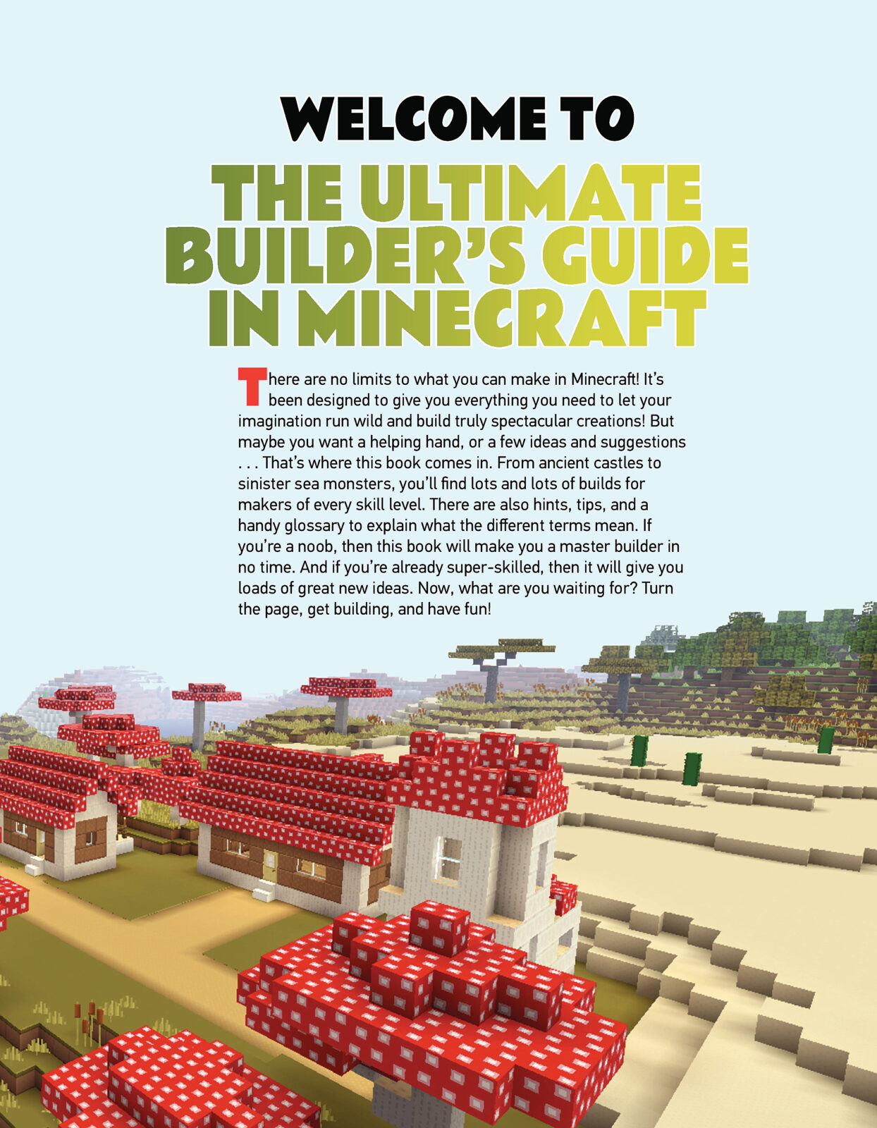 Minecraft - Le guide du builder Pas Cher