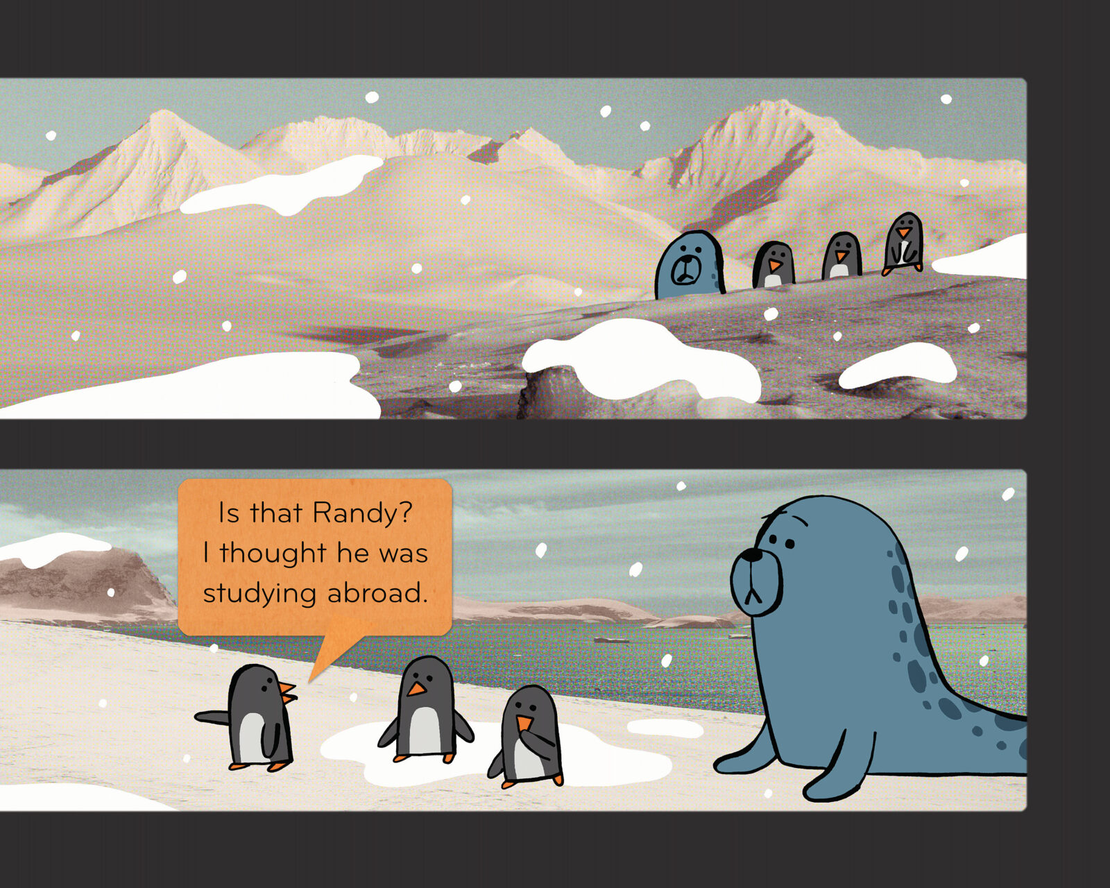 Seals Are Jerks! by Jared Chapman