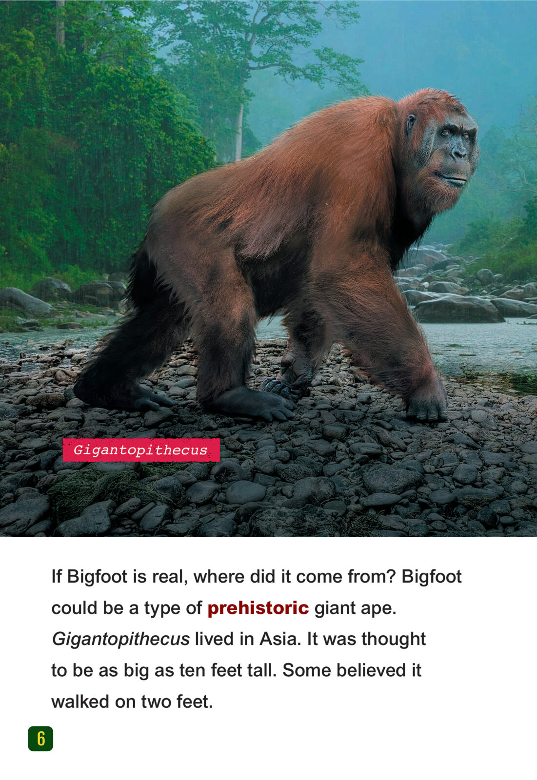Unsolved: Bigfoot by Dinah Williams | The Scholastic Parent Store