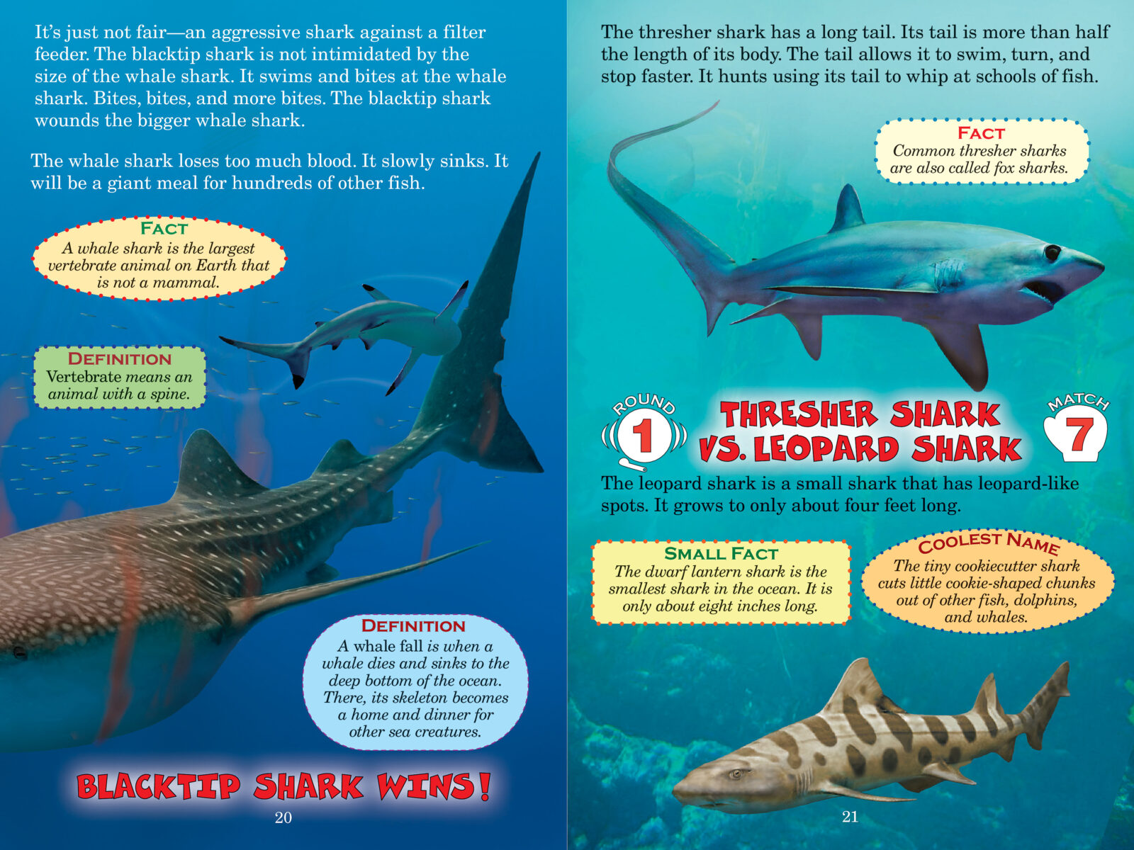 【SCHOLASTIC】Who Would Win? 6冊セット Who Would Win 10-Book Boxed Set by Jerry Pallotta | The