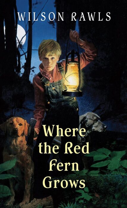 Image result for wilson rawls where the red fern grows