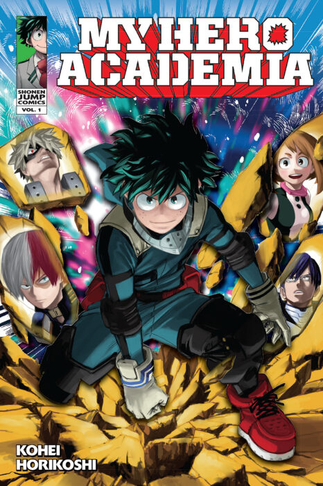 Image result for my hero academia book 1"