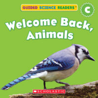 Guided Reading Level C Book List